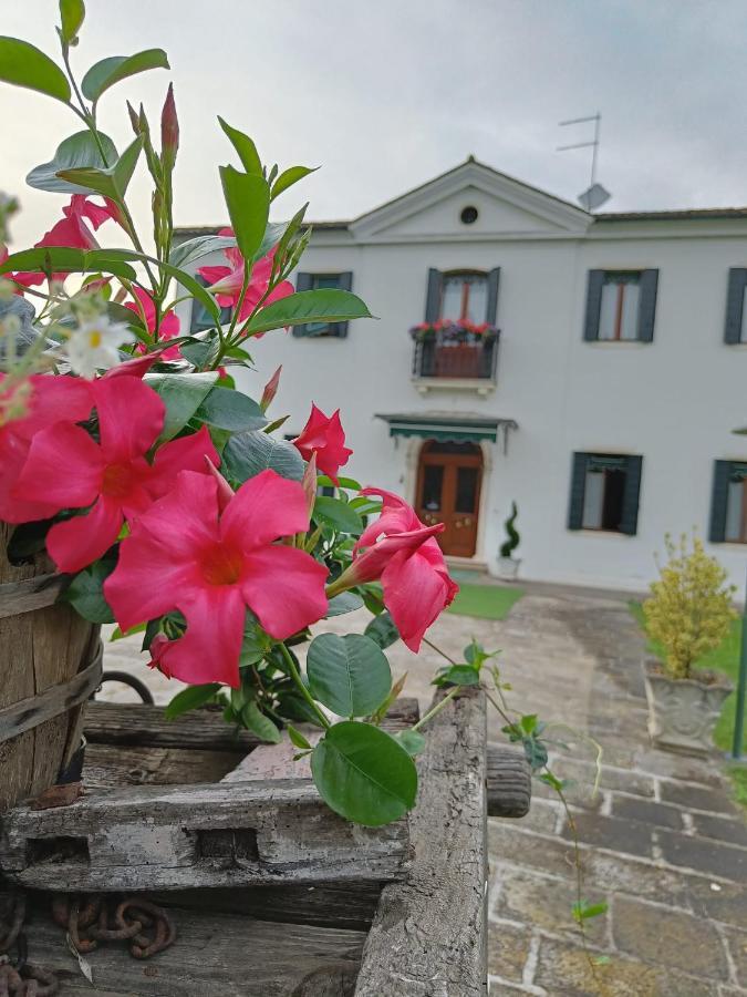 Agriturismo Villa Greggio Casalserugo Esterno foto