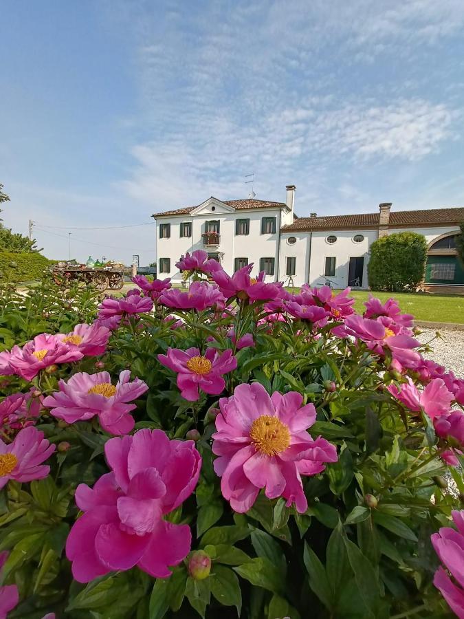 Agriturismo Villa Greggio Casalserugo Esterno foto