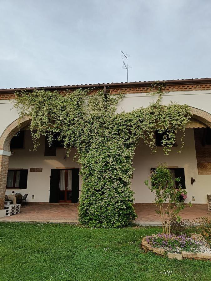 Agriturismo Villa Greggio Casalserugo Esterno foto